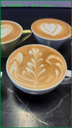 Zdjęcie przedstawia latte art – kawę, na której powierzchni tworzy się rysunki i wzory z mleka. Zarówno kawa jak i mleko są specjalnie przygotowywane. Mleko jest spieniane gorącą parą, do wykonania wzorów używa się mlecznej pianki, którą nanosi się na powierzchnię kawy. 